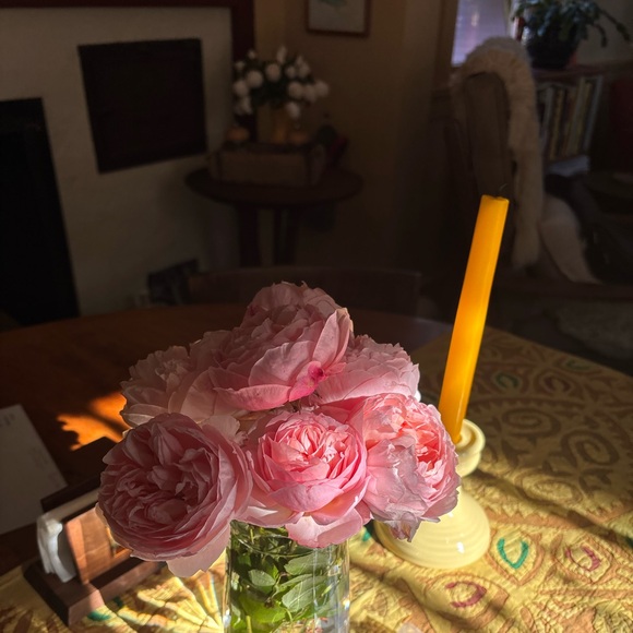 Meet your Posher, Laura - Picture 12 of 13